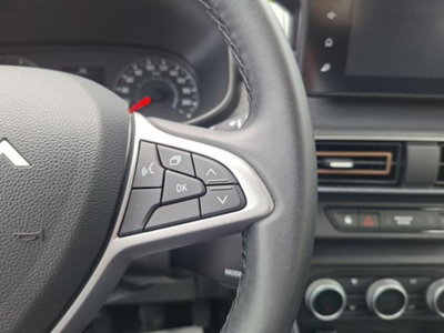 Dacia Sandero Stepway 1.0 tce Extreme Up Eco-g 100cv (13)