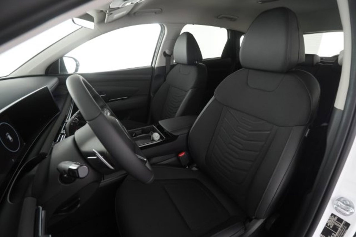 Hyundai Tucson 1.6 hev Exellence 4wd auto (10)