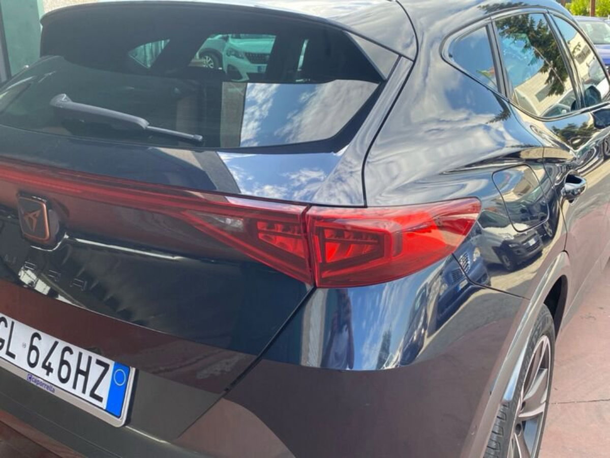 Cupra Formentor Formentor 2.0 TDI (13)