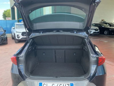 Cupra Formentor Formentor 2.0 TDI (15)