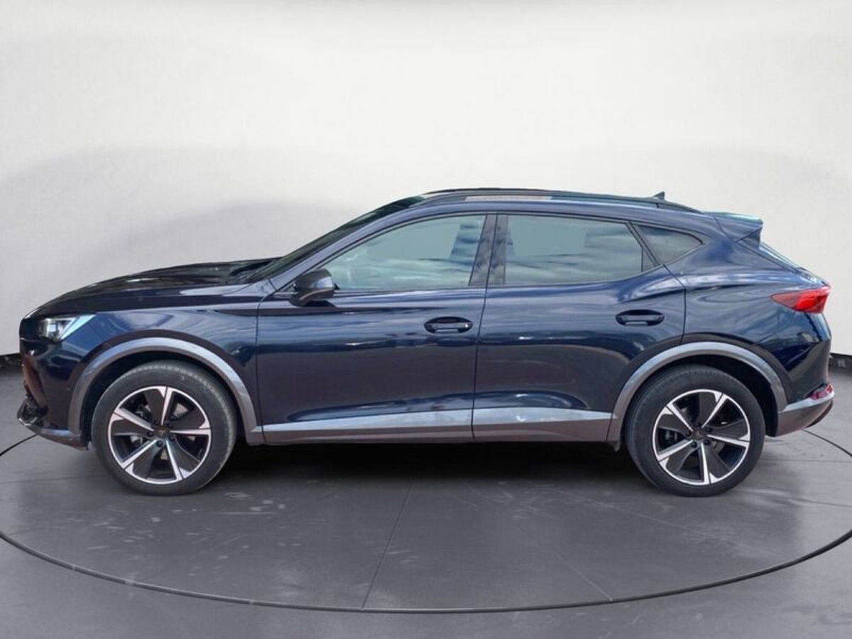 Cupra Formentor Formentor 2.0 TDI (7)