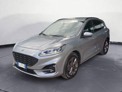 Ford Kuga 1.5 EcoBlue 120 CV 2WD ST-Line usata
