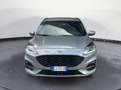 Ford Kuga 1.5 EcoBlue 120 CV 2WD ST-Line (2)