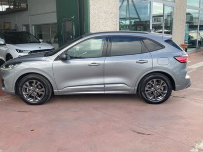 Ford Kuga 1.5 EcoBlue 120 CV 2WD ST-Line (8)