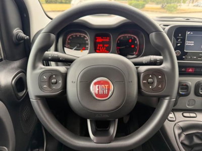 Fiat Panda 1.0 firefly hybrid s&s 70cv 5p.ti (13)