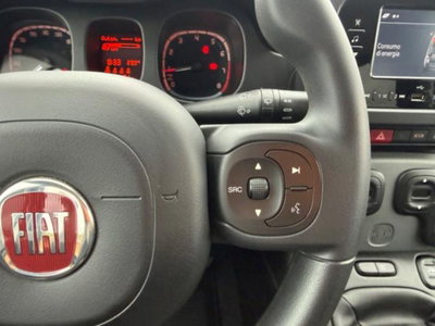 Fiat Panda 1.0 firefly hybrid s&s 70cv 5p.ti (16)