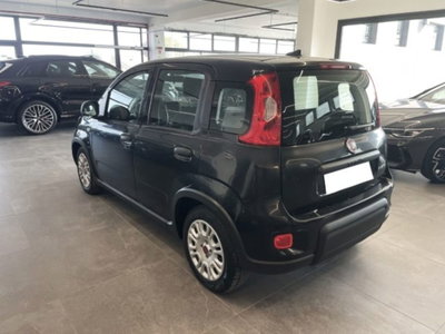 Fiat Panda 1.0 firefly hybrid s&s 70cv 5p.ti (3)