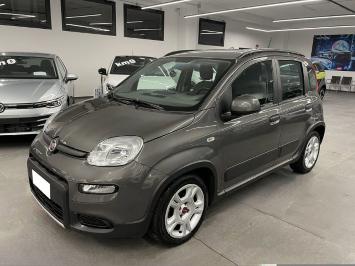 Fiat Panda 1.0 firefly hybrid s&s 70cv 5p.ti (12)