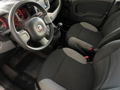 Fiat Panda 1.0 firefly hybrid s&s 70cv 5p.ti (8)
