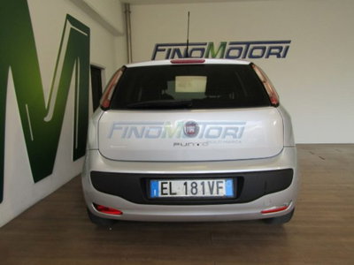 Fiat Punto 1.2 8V 5 porte Easy (14)