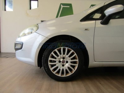 Fiat Punto 1.2 8V 5 porte Easy (4)