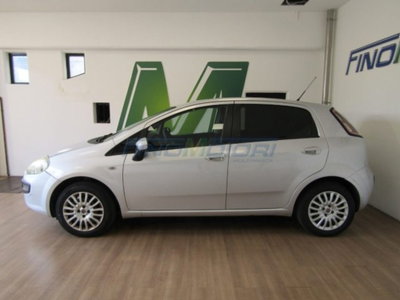 Fiat Punto 1.2 8V 5 porte Easy (5)