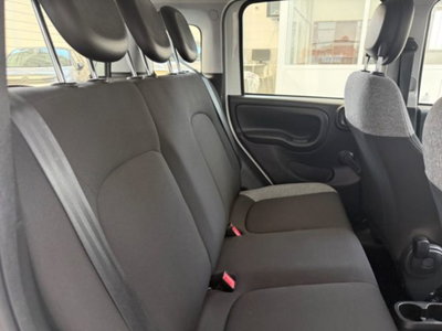 Fiat Panda 1.0 firefly hybrid s&s 70cv 5p.ti (13)