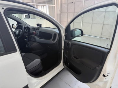 Fiat Panda 1.0 firefly hybrid s&s 70cv 5p.ti (19)