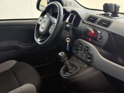 Fiat Panda 1.0 firefly hybrid s&s 70cv 5p.ti (20)