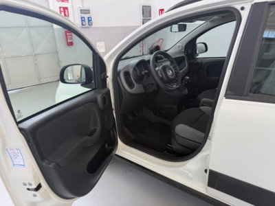 Fiat Panda 1.0 firefly hybrid s&s 70cv 5p.ti (9)