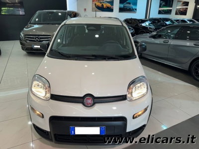 Fiat Pandina 1.0 firefly hybrid s&s 70cv (2)