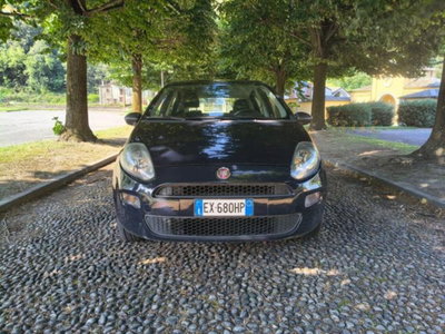 Fiat Punto 1.4 8V 5 porte Natural Power Virgin Radio usata