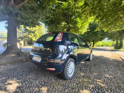 Fiat Punto 1.4 8V 5 porte Natural Power Virgin Radio (14)