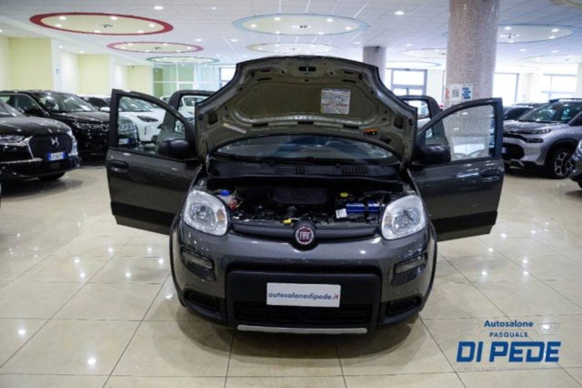 Fiat Panda 1.0 firefly hybrid s&s 70cv 5p.ti (10)