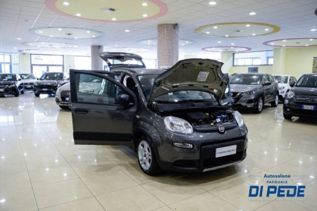 Fiat Panda 1.0 firefly hybrid s&s 70cv 5p.ti (11)