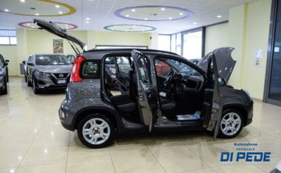 Fiat Panda 1.0 firefly hybrid s&s 70cv 5p.ti (12)