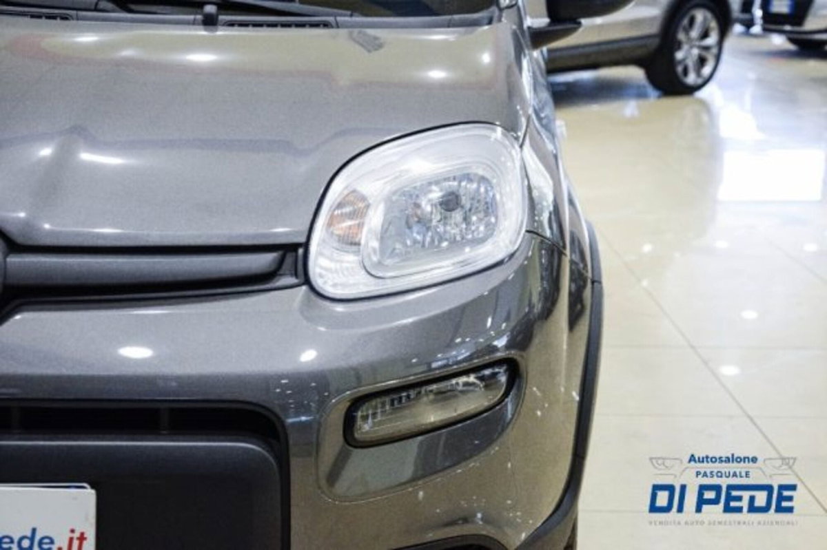 Fiat Panda 1.0 firefly hybrid s&s 70cv 5p.ti (17)