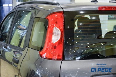 Fiat Panda 1.0 firefly hybrid s&s 70cv 5p.ti (20)