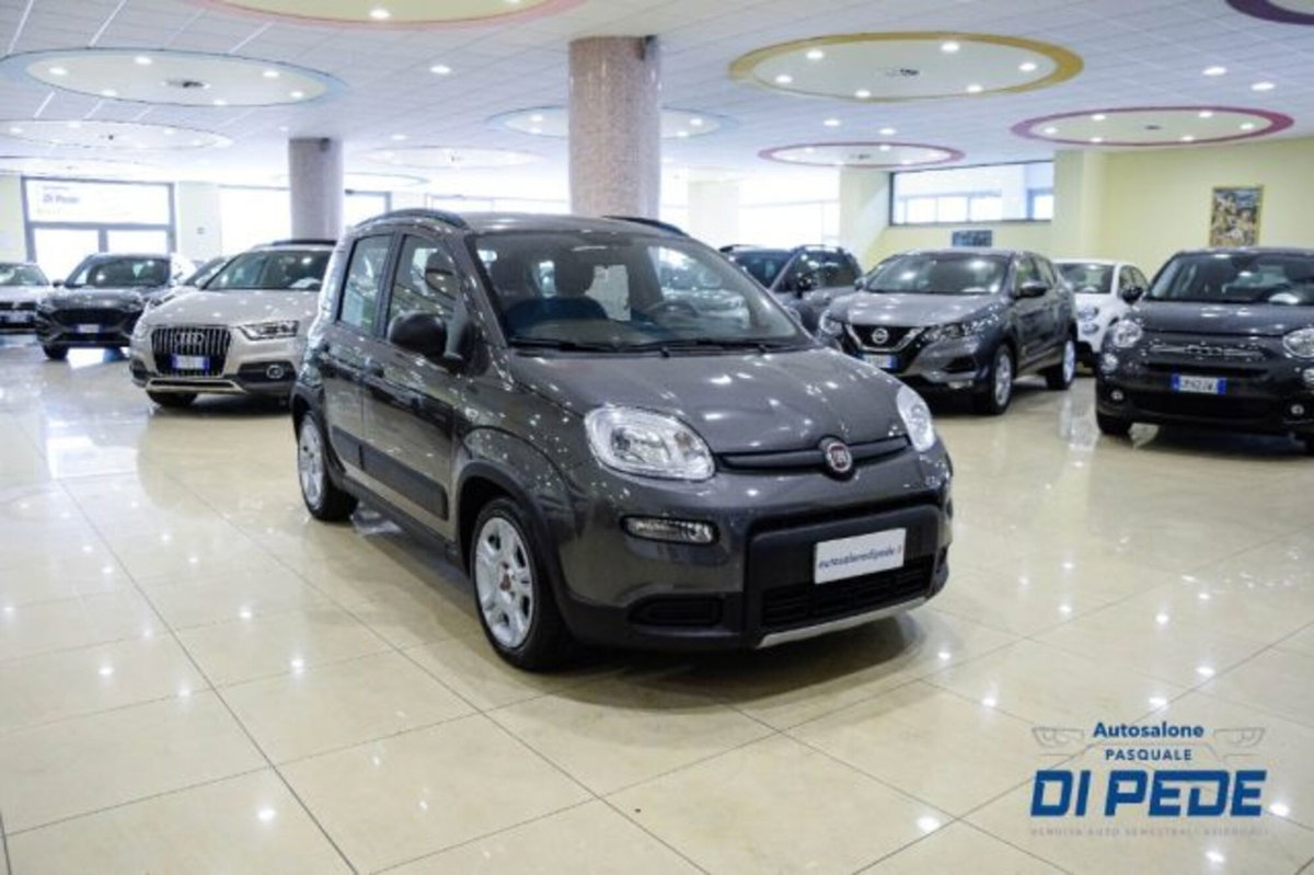Fiat Panda 1.0 firefly hybrid s&s 70cv 5p.ti (3)