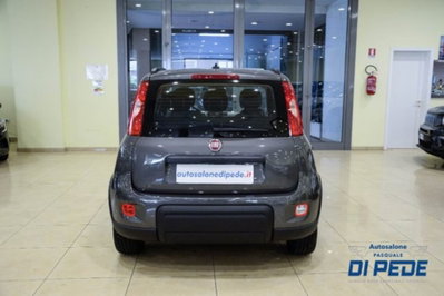 Fiat Panda 1.0 firefly hybrid s&s 70cv 5p.ti (6)