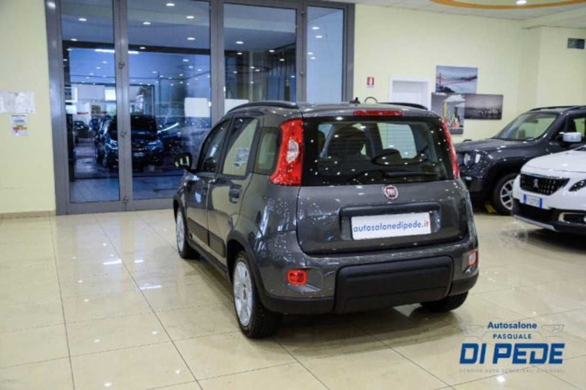 Fiat Panda 1.0 firefly hybrid s&s 70cv 5p.ti (7)