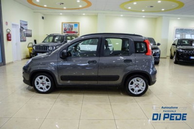 Fiat Panda 1.0 firefly hybrid s&s 70cv 5p.ti (8)