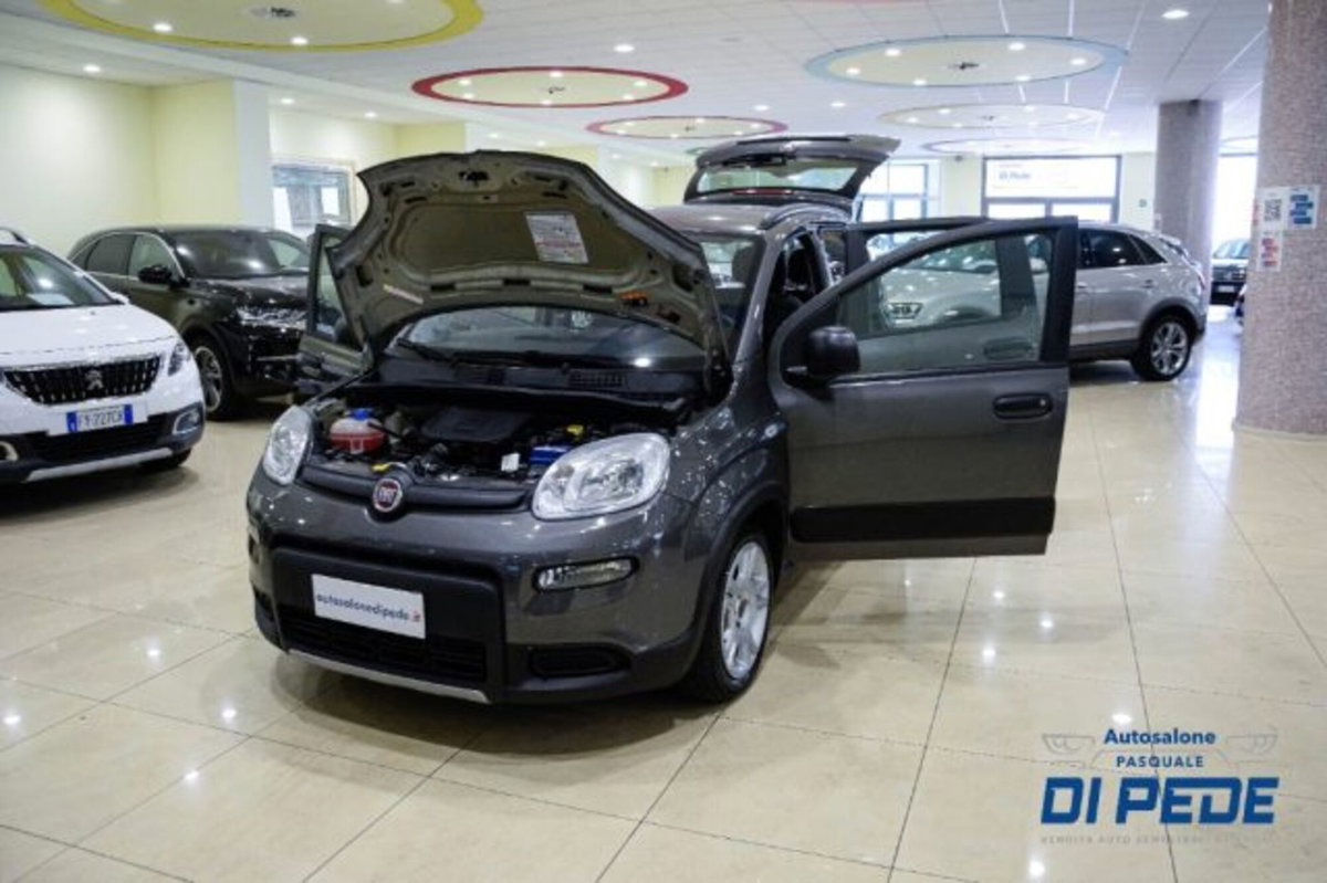 Fiat Panda 1.0 firefly hybrid s&s 70cv 5p.ti (9)