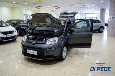 Fiat Panda 1.0 firefly hybrid s&s 70cv 5p.ti (9)