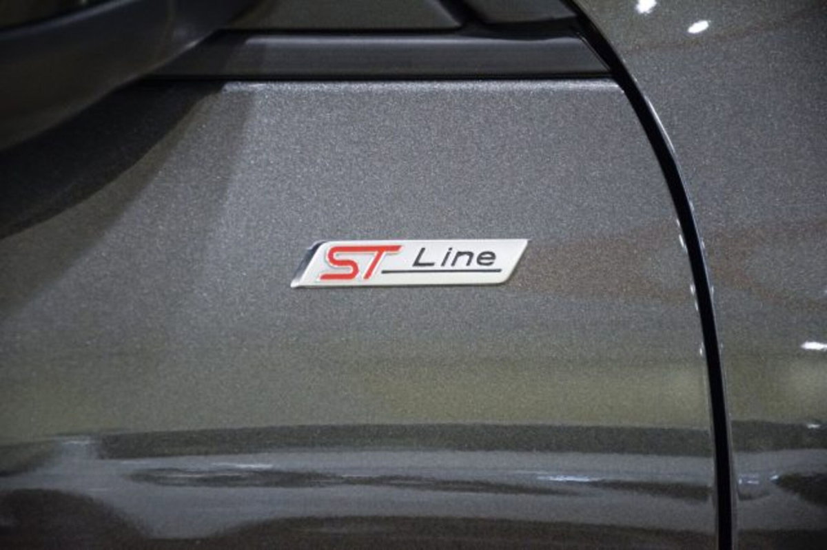 Ford Kuga 1.5 EcoBlue 120 CV 2WD ST-Line (15)