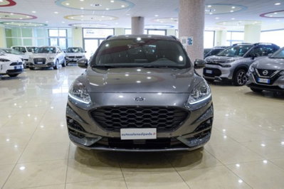 Ford Kuga 1.5 EcoBlue 120 CV 2WD ST-Line (2)