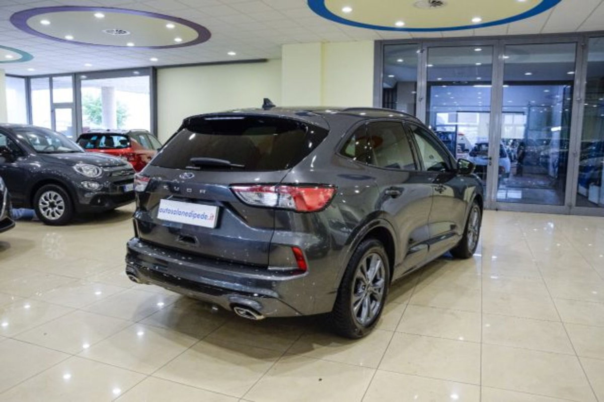 Ford Kuga 1.5 EcoBlue 120 CV 2WD ST-Line (4)