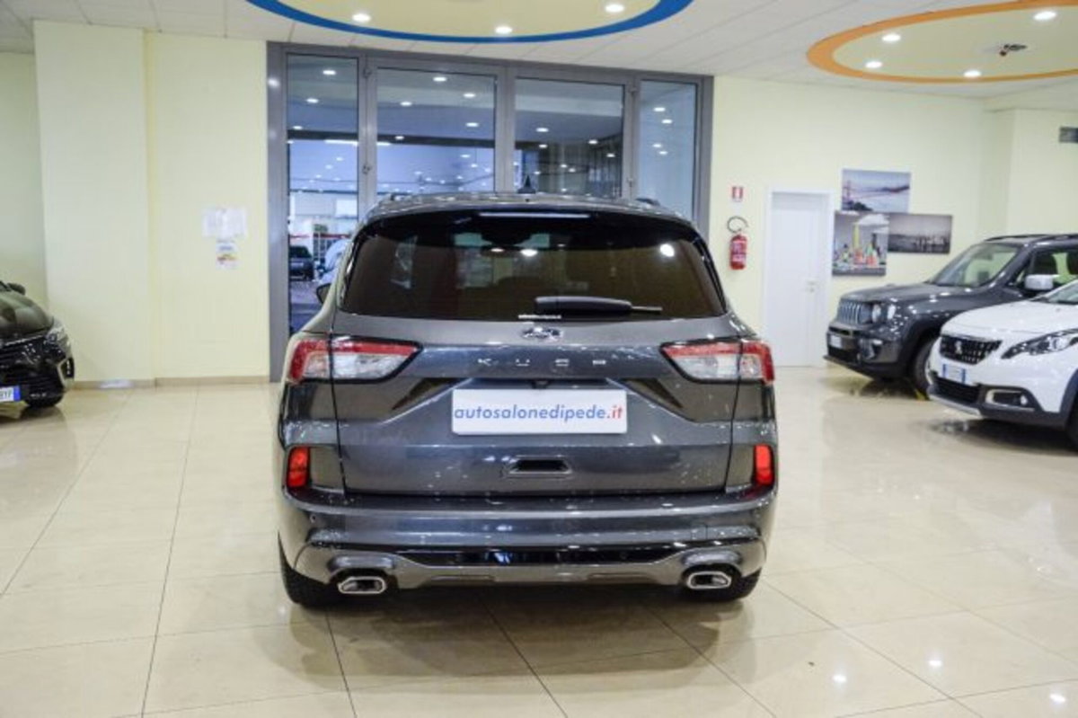 Ford Kuga 1.5 EcoBlue 120 CV 2WD ST-Line (5)