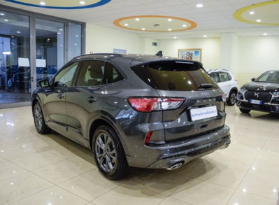 Ford Kuga 1.5 EcoBlue 120 CV 2WD ST-Line (6)
