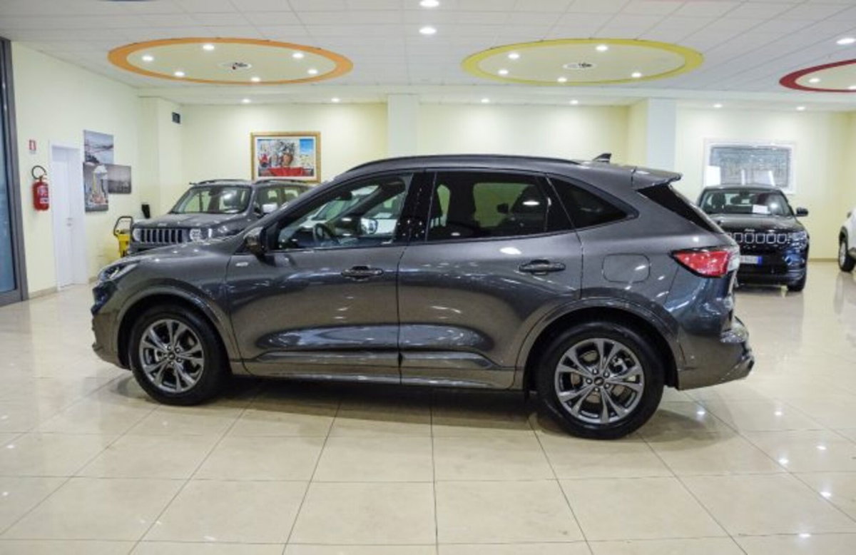 Ford Kuga 1.5 EcoBlue 120 CV 2WD ST-Line (7)