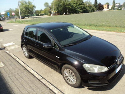 Volkswagen Golf 1.4 TGI 5p. Trendline BlueMotion (12)