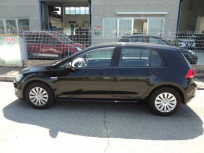 Volkswagen Golf 1.4 TGI 5p. Trendline BlueMotion (14)