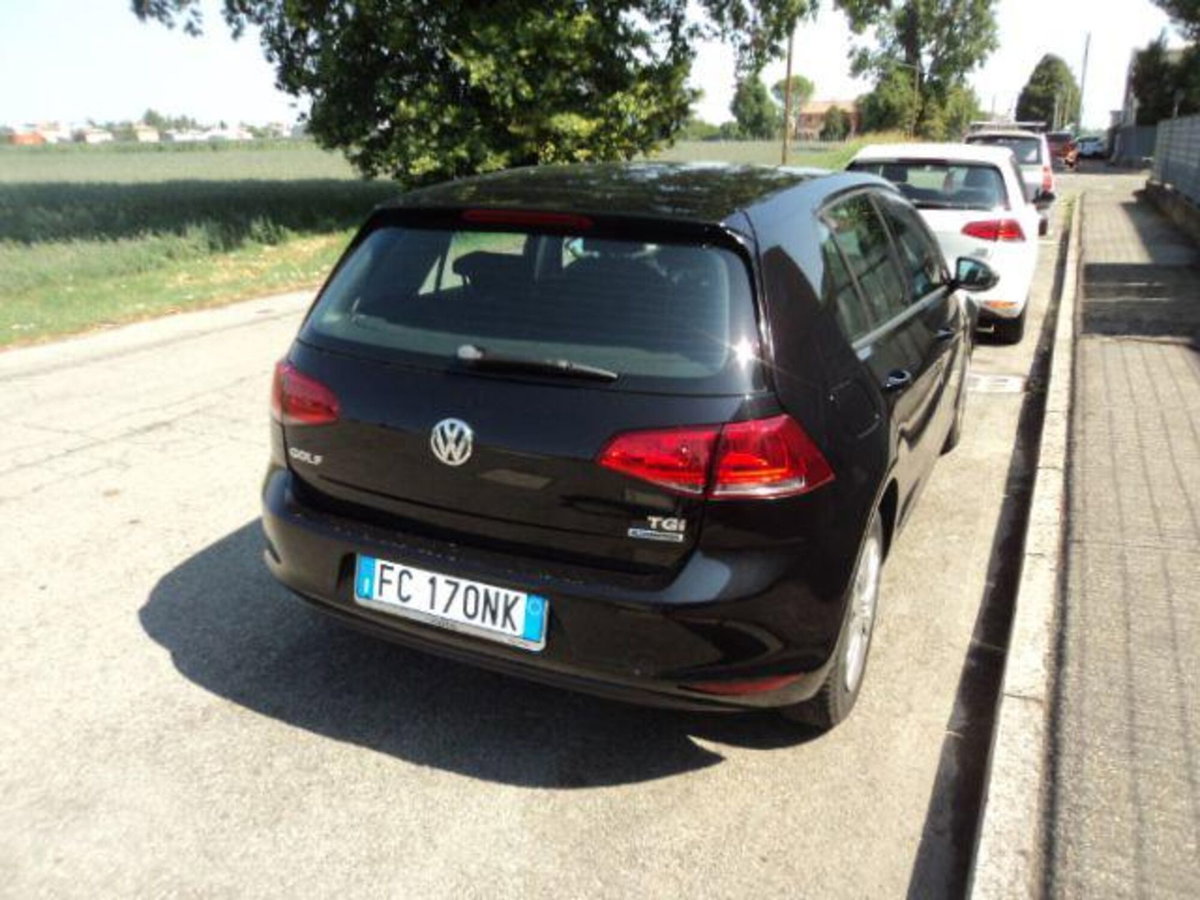 Volkswagen Golf 1.4 TGI 5p. Trendline BlueMotion (16)