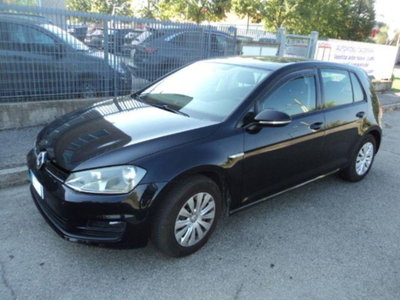 Volkswagen Golf 1.4 TGI 5p. Trendline BlueMotion (2)
