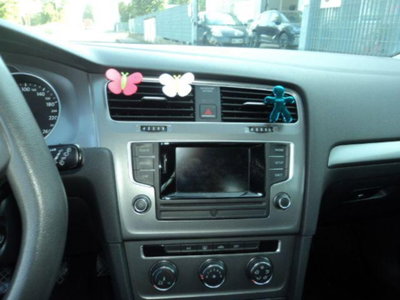 Volkswagen Golf 1.4 TGI 5p. Trendline BlueMotion (9)