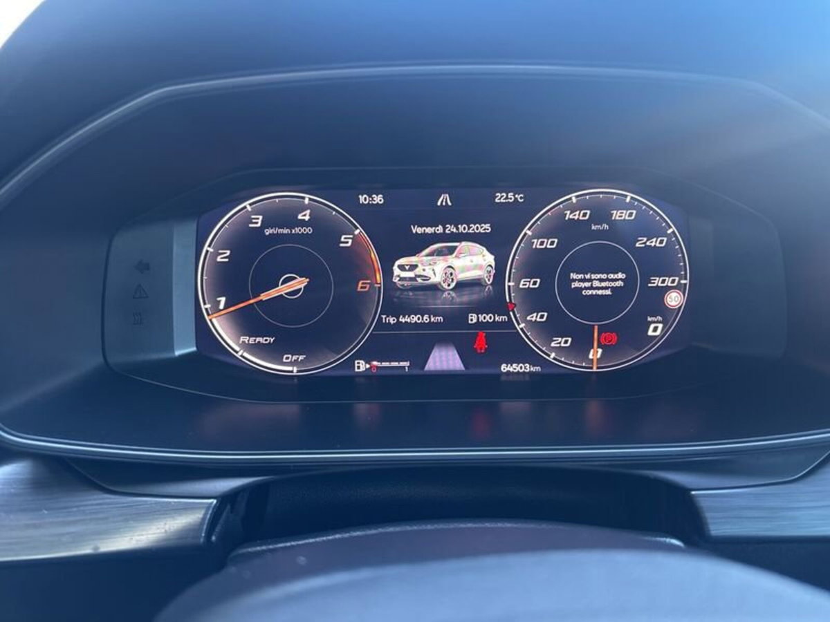 Cupra Formentor Formentor 2.0 TDI (14)