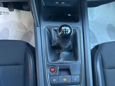 Cupra Formentor Formentor 2.0 TDI (15)