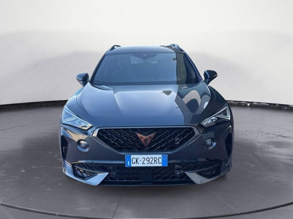Cupra Formentor Formentor 2.0 TDI (2)