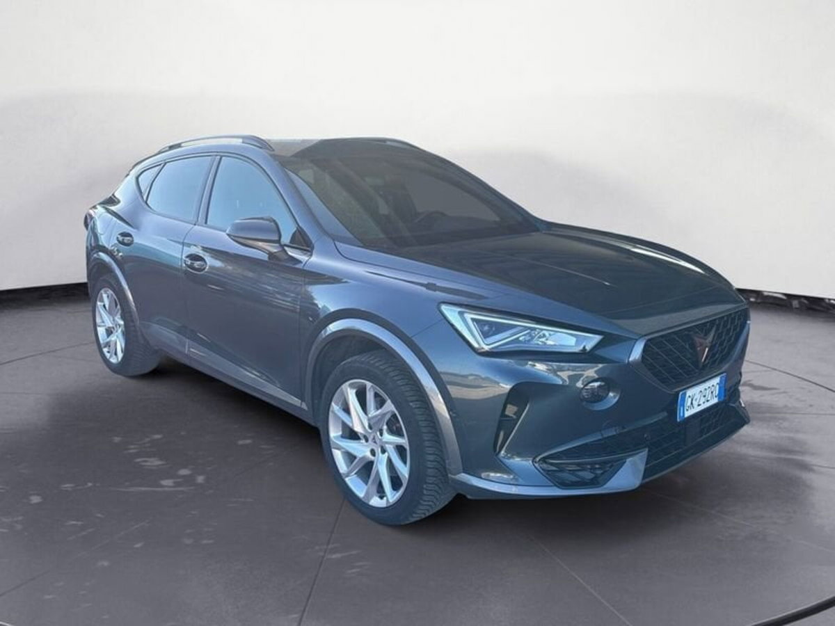 Cupra Formentor Formentor 2.0 TDI (3)