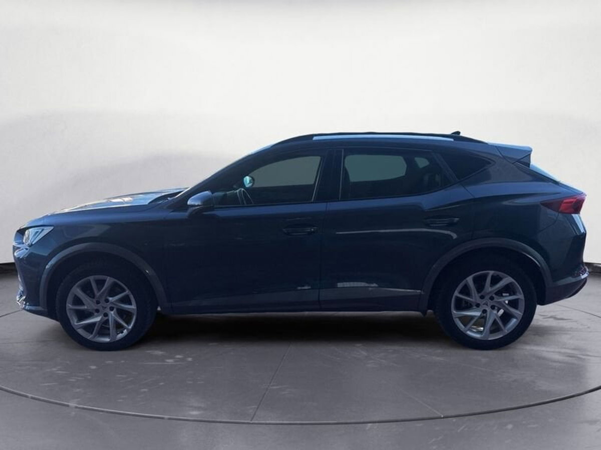 Cupra Formentor Formentor 2.0 TDI (4)